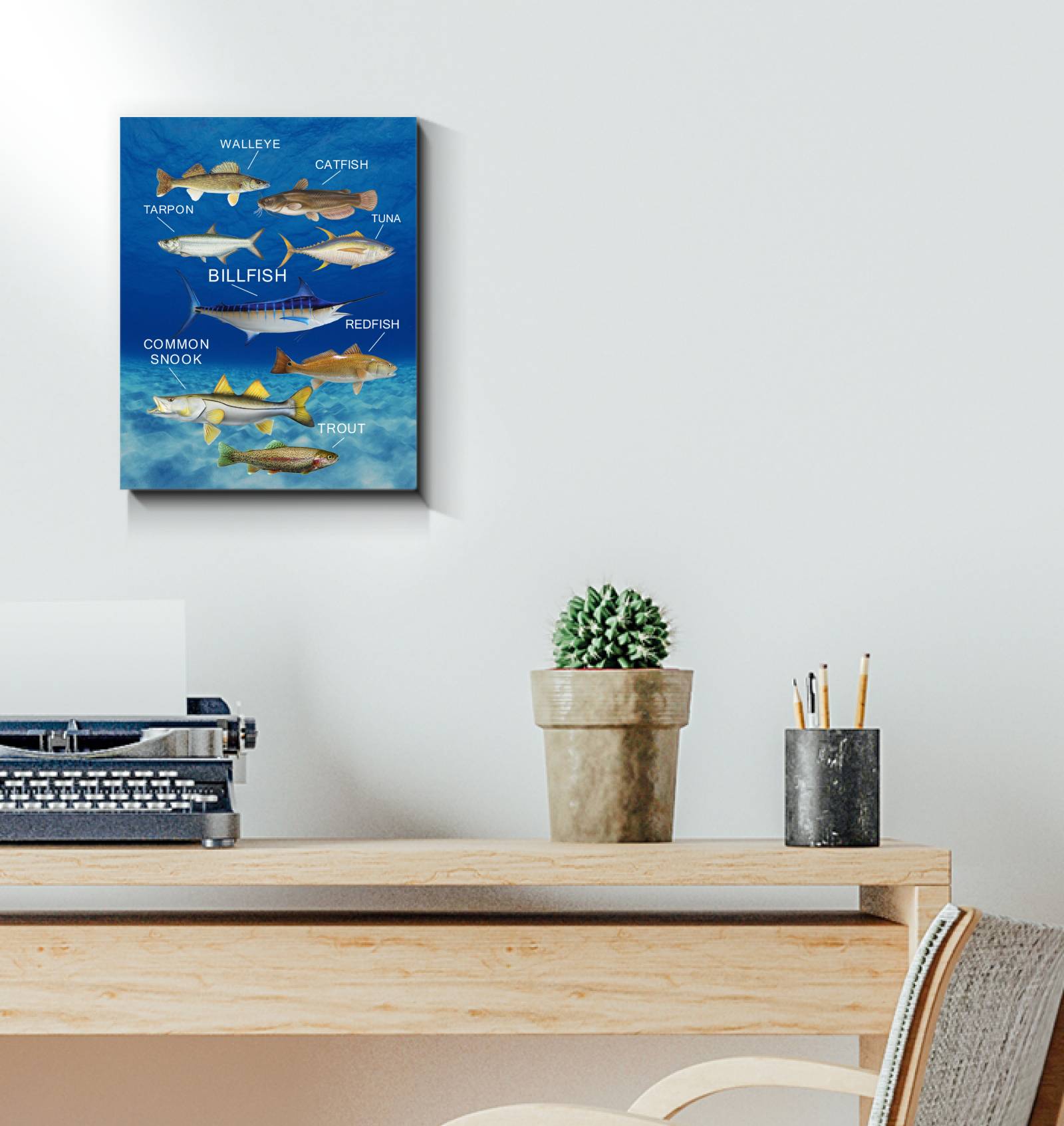 Collection Fish Canvas Prints